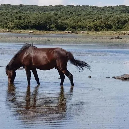 Mit Wasserblick By Interhome *
