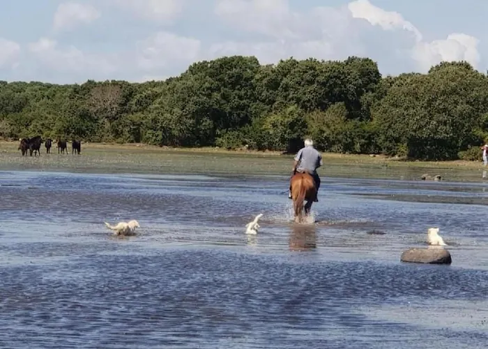 Mit Wasserblick By Interhome * Gesturi